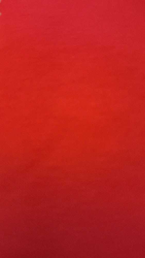 tissu jersey viscose rouge vif