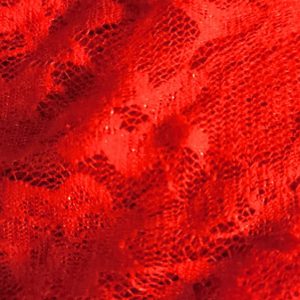 tissu dentelle lorette polyamide rouge