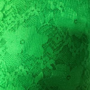 tissu dentelle marguerite vert