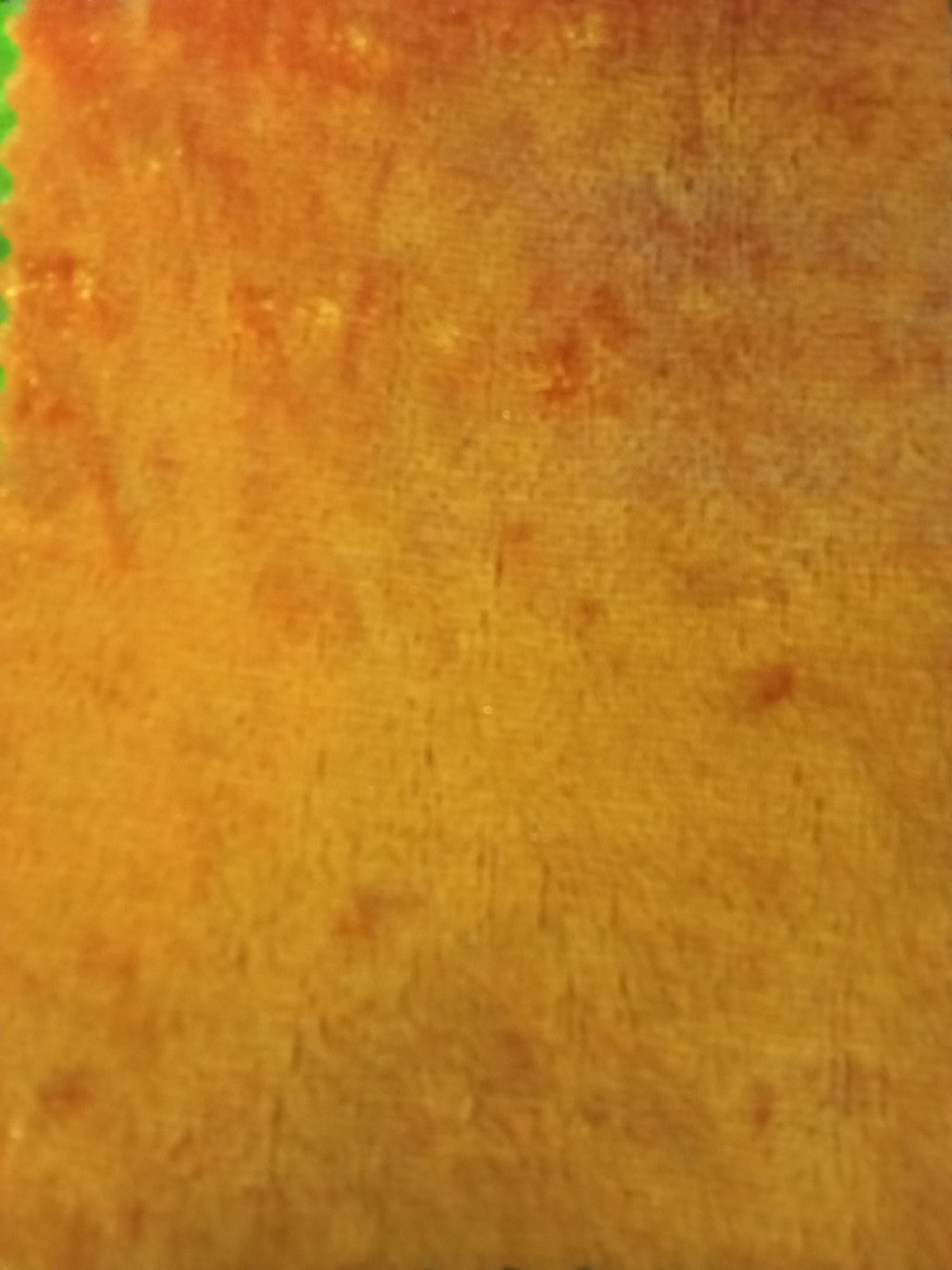 Panne de Velours